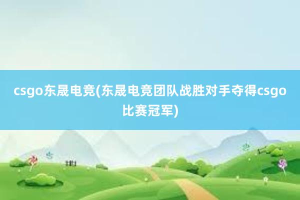 csgo东晟电竞(东晟电竞团队战胜对手夺得csgo比赛冠军)