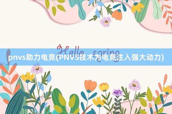 pnvs助力电竞(PNVS技术为电竞注入强大动力)