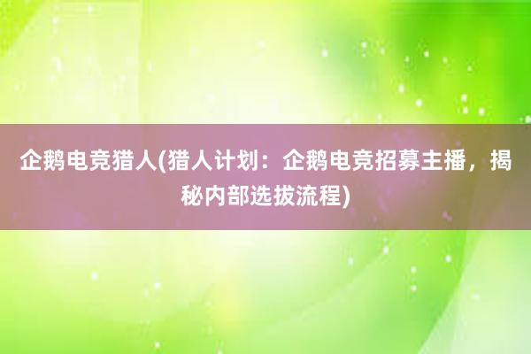 企鹅电竞猎人(猎人计划：企鹅电竞招募主播，揭秘内部选拔流程)