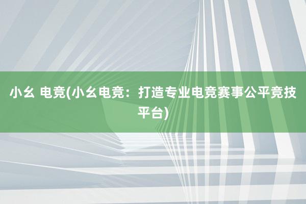 小幺 电竞(小幺电竞：打造专业电竞赛事公平竞技平台)