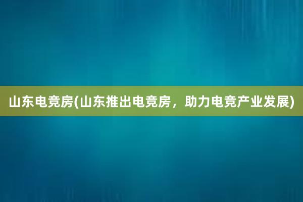 山东电竞房(山东推出电竞房，助力电竞产业发展)