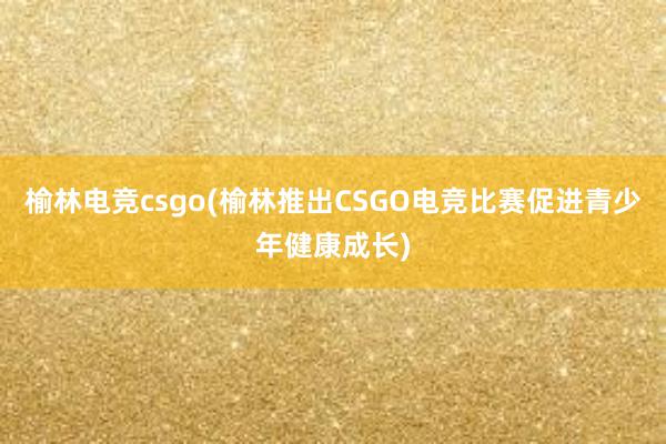 榆林电竞csgo(榆林推出CSGO电竞比赛促进青少年健康成长)