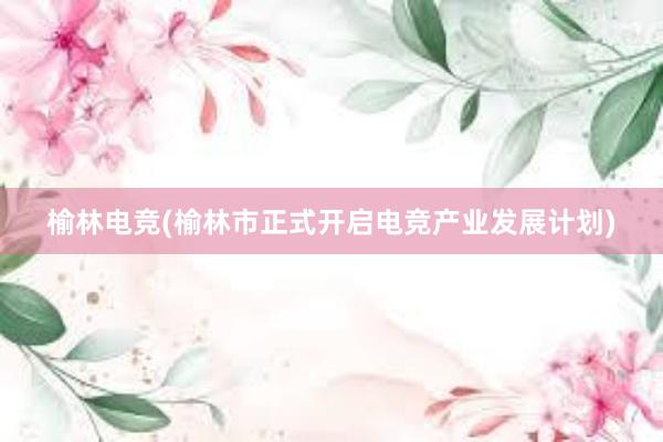 榆林电竞(榆林市正式开启电竞产业发展计划)