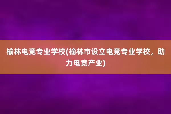 榆林电竞专业学校(榆林市设立电竞专业学校，助力电竞产业)