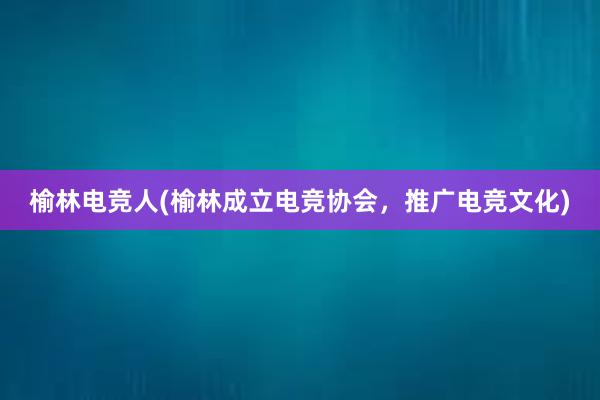 榆林电竞人(榆林成立电竞协会，推广电竞文化)