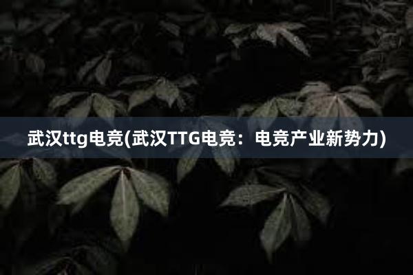 武汉ttg电竞(武汉TTG电竞：电竞产业新势力)