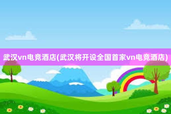 武汉vn电竞酒店(武汉将开设全国首家vn电竞酒店)