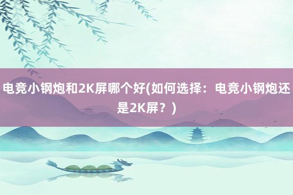 电竞小钢炮和2K屏哪个好(如何选择：电竞小钢炮还是2K屏？)