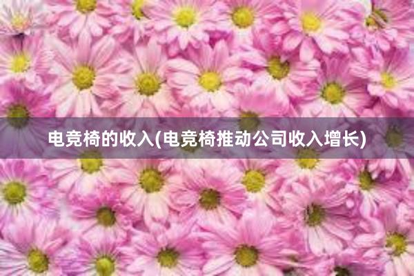 电竞椅的收入(电竞椅推动公司收入增长)