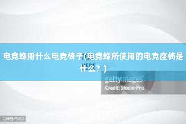 电竞蜂用什么电竞椅子(电竞蜂所使用的电竞座椅是什么？)