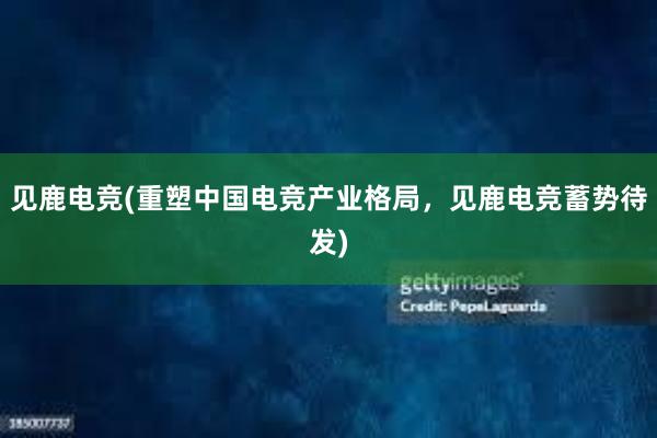 见鹿电竞(重塑中国电竞产业格局，见鹿电竞蓄势待发)