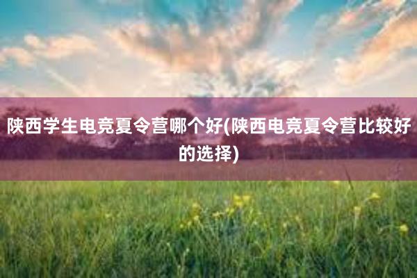 陕西学生电竞夏令营哪个好(陕西电竞夏令营比较好的选择)