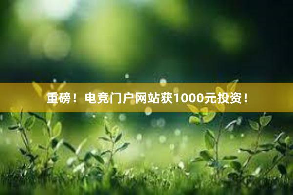 重磅！电竞门户网站获1000元投资！