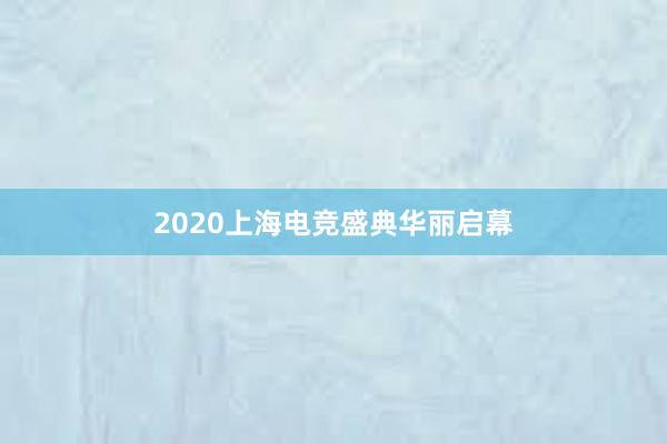 2020上海电竞盛典华丽启幕