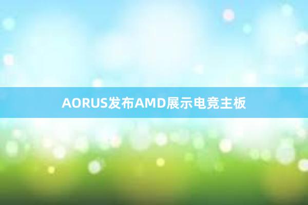 AORUS发布AMD展示电竞主板