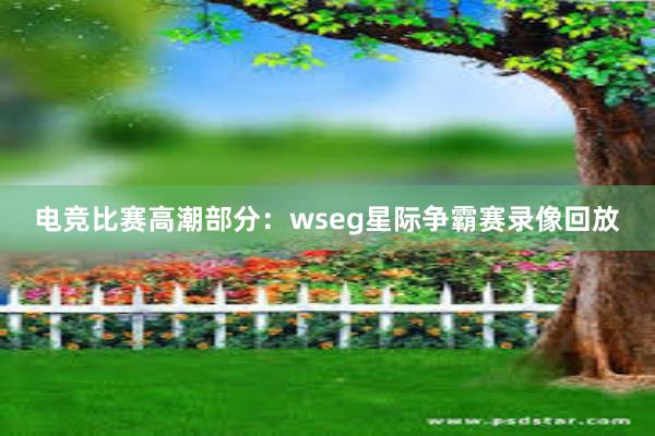 电竞比赛高潮部分：wseg星际争霸赛录像回放