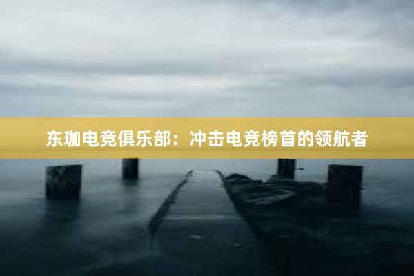 东珈电竞俱乐部：冲击电竞榜首的领航者