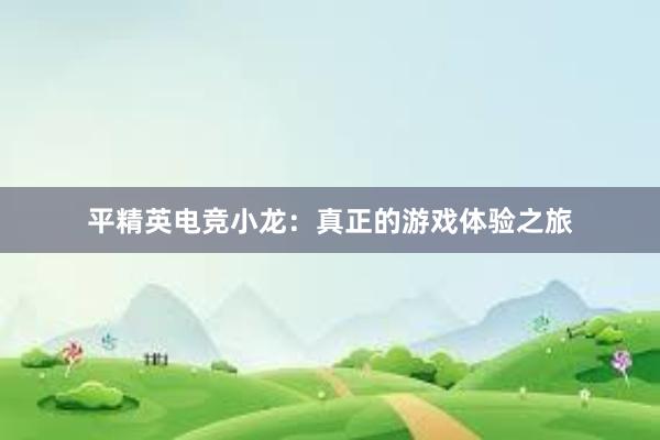 平精英电竞小龙：真正的游戏体验之旅