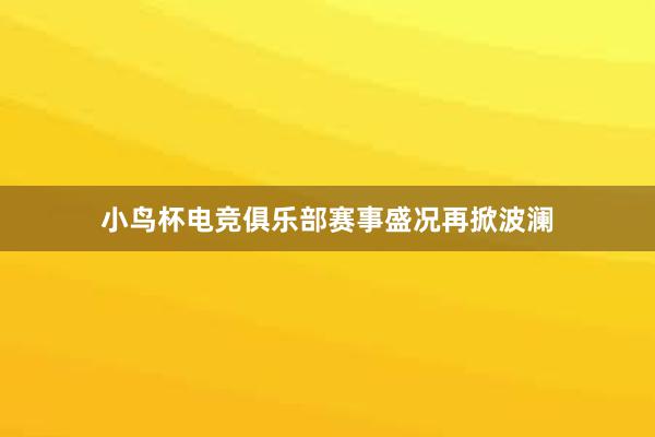 小鸟杯电竞俱乐部赛事盛况再掀波澜