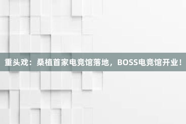 重头戏：桑植首家电竞馆落地，BOSS电竞馆开业！