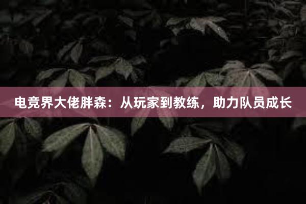 电竞界大佬胖森：从玩家到教练，助力队员成长