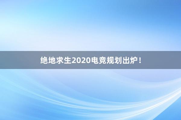 绝地求生2020电竞规划出炉！